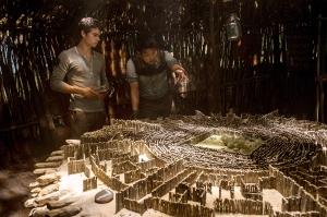 THE MAZE RUNNER TM and © 2013 Twentieth Century Fox Film Corporation.  All Rights Reserved.  Not for sale or duplication.